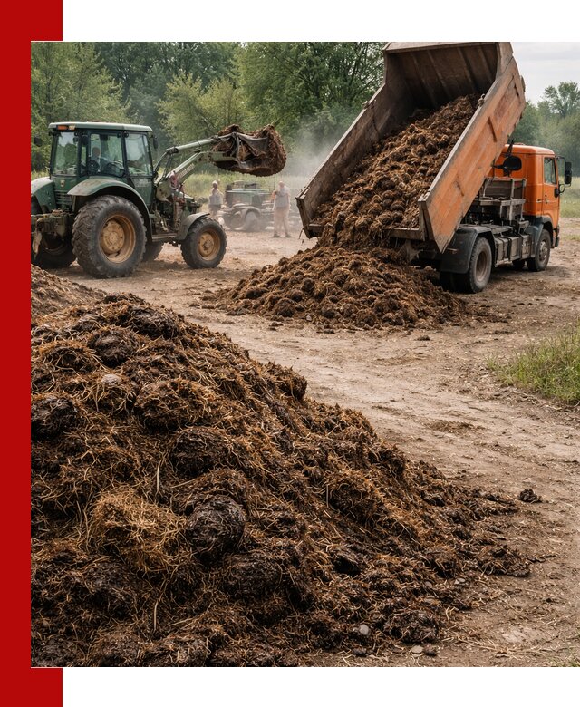 Доставка навоза самосвалами в Реже для сельхозпотребностей
